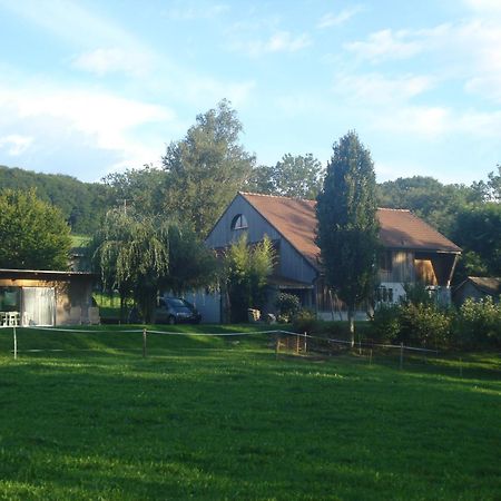 Bnb Pavillon Paisible Orsonnens Dış mekan fotoğraf